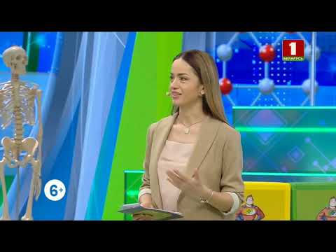 Видео: Беларусь 1 HD 14.01.2021 Рекламный блок + Анонсы