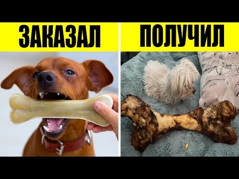 Видео: Ожидание и реальность: 60 неудачных покупок в интернете (2 серия)