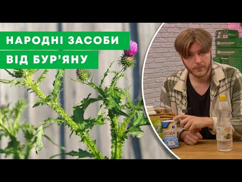 Видео: НАРОДНІ ГЕРБІЦИДИ | Як ЛЕГКО позбутися багаторічного бур'яну БЕЗ ХІМІЇ | Agro-Market.ua