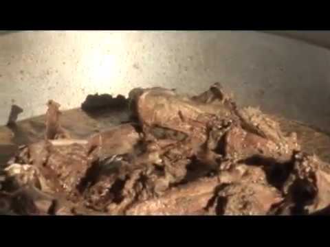 Видео: Наши путешествия. Охота на тетерева и глухаря в Кировской области