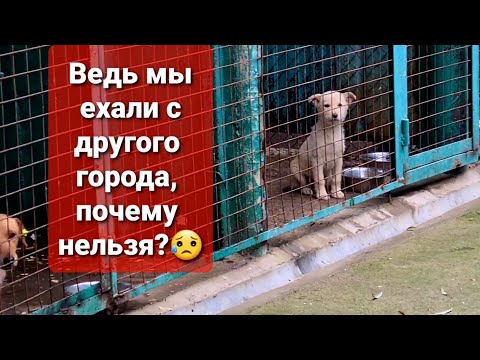 Видео: НАС НЕ ПУСТИЛИ В ОТЛОВНИК😳ПОДОБРЫШИ ПРОДОЛЖАЮТ РАЗГРОМЛЯТЬ ДОМ😭