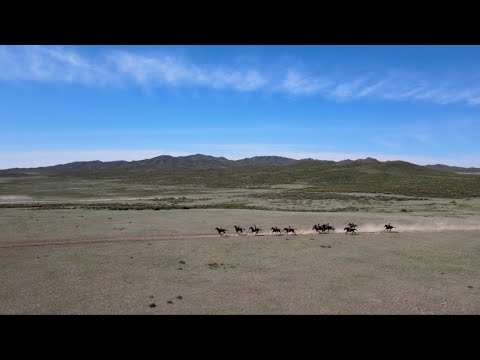 Видео: Кіндікті ауылы | Ауыл күні мерекесі | Ақсуат – 2022