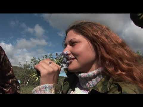 Видео: ХАЛЬМЕР Ю - ДОЛИНА ЖИЗНИ (2011) Документальный фильм | ЛЕНДОК