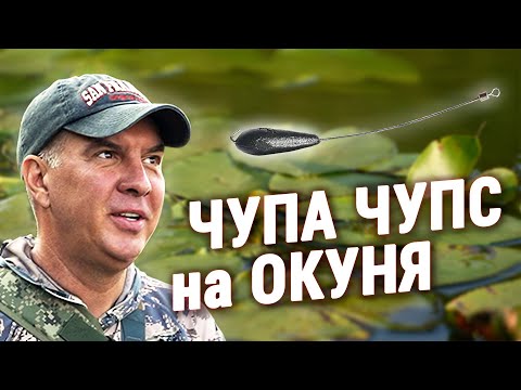 Видео: Ловля ПАСИВНОГО ОКУНЯ на Спінінг | Презентація приманки ПАВУК - Лютий 2024