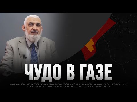 Видео: ЧУДО В ГАЗЕ: рыба весом 2 тонны накормила 14 000 человек