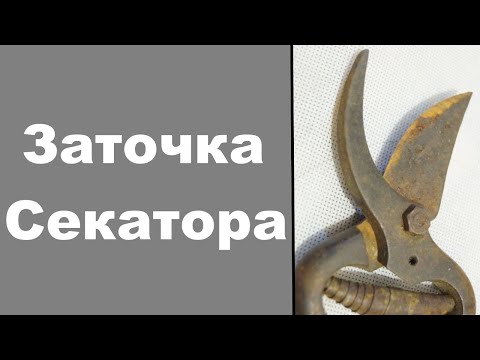 Видео: КАК заточить секатор (Sharpening pruning shears )