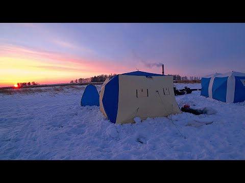 Видео: Живём на льду в палатке с сыном! Отдых, рыбалка, жарим рыбу! Опустил камеру в лунку а там пришли они