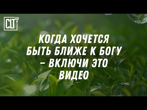 Видео: Бог говорит с тобой — через Писание, через природу, через тишину #Библия #Relaxing #исцеление_души