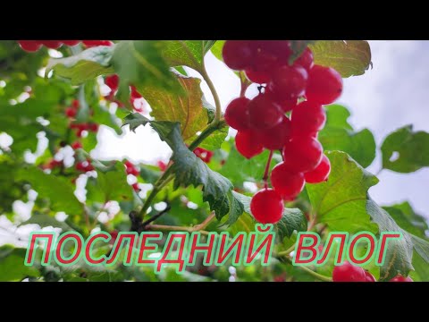 Видео: Последний влог. 31,08,25 #rukivdelo #вязовлог 
