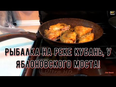 Видео: Рыбалка на реке Кубань, у Яблоновского моста! 4К.