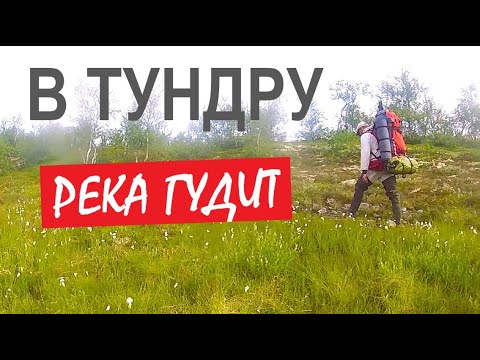 Видео: ТЕРИБЕРКА. Река гудит. Июль 2025. Мишки рядом!