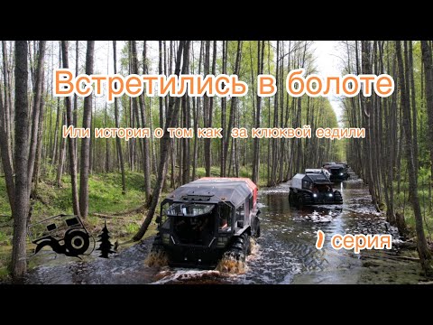 Видео: Сказ о том, как мы на 8 вездеходах за клюквой ездили. Клюквы не собрали, но прекрасно провели время.