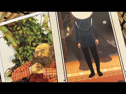 Видео: ЧТО ПРОИСХОДИТ? 🕊️🦚