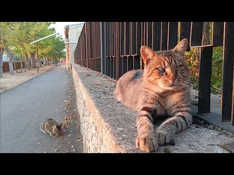 Видео: Наша необъятная:Крым:Бахчисарай, Чуфут-Кале, Евпатория, озеро Мойнакское