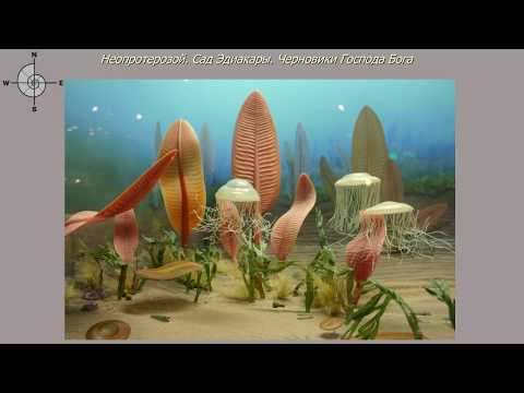 Видео: Лекция "Вендский период"