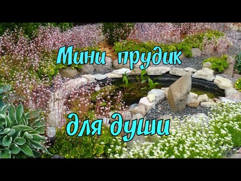 Видео: Мини прудик для души.