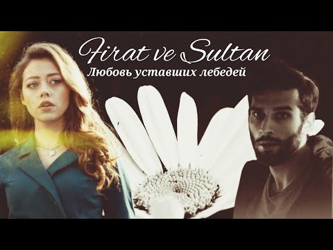 Видео: Фырат и Султан - Любовь уставших лебедей... (Firat&Sultan) #vuslat