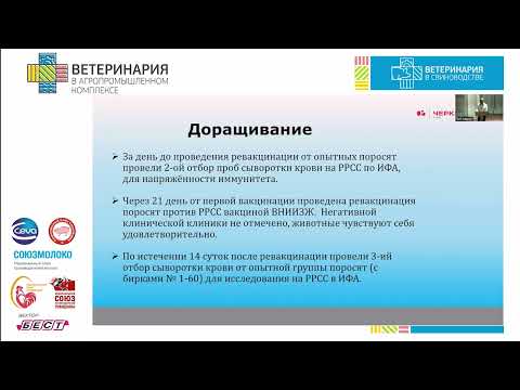 Видео: Головин А.Н. Опыт разработки и внедрения инактивированной вакцины против РРСС из местных штаммов.
