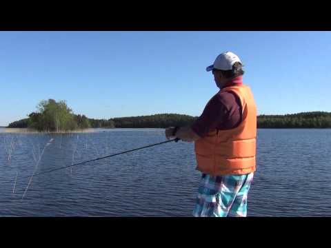Видео: Ловля щуки в солнечную погоду на поппер Killer pop. Часть 2. Финские зарисовки.