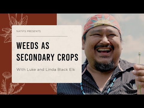 Видео: Превращение сорняков во вторичные культуры с Люком и Линдой Блэк Элк