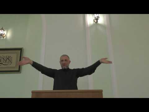 Видео: Люди  с душами животных