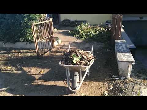 Видео: Кто хочет, тот добьется👍👍👍. Мы приводили в порядок каждый сантиметр купленной территории...двора.