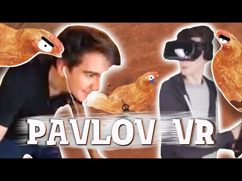 Видео: ХЕСУС И БРАТИШКИН ИГРАЮТ В PAVLOV VR