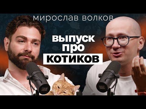 Видео: Зоопсихолог о любви к котам-абьюзерам, психике животных, мистике вокруг кошек и патологии-эмпатии