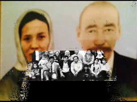 Видео: Семизбуга 0001