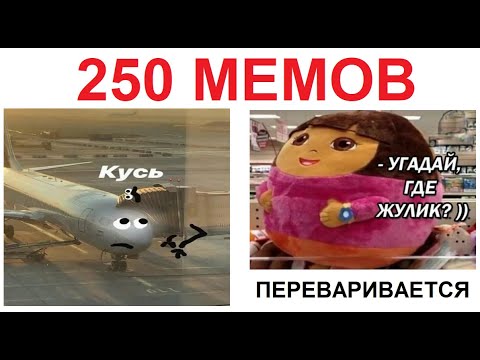 Видео: 250 МЕМОВ. Большая подборка приколов #приколы #юмор #мемы