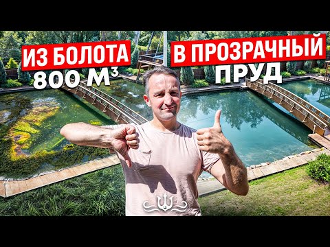 Видео: Превратили БОЛОТО в чистый ПРУД | Лучший фильтр для пруда | Стоимость обслуживания пруда с рыбой