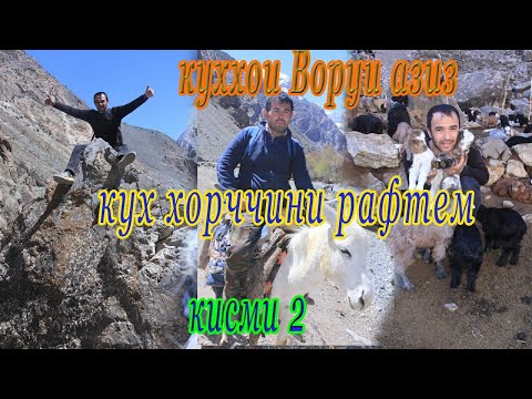 Видео: Сайри куххои Вору. е инки Хумори гу... кисми 2