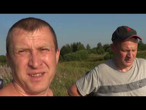 Видео: Рыбалка в августе Жара!!Но рыба клюет