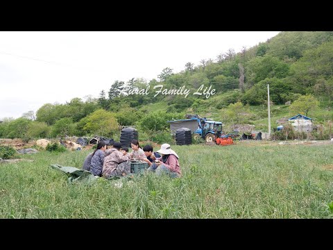 Видео: Дневники корейской деревни: Урожай нашей семьи, душевные трапезы и простые радости
