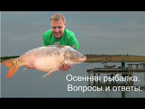 Видео: Осенняя рыбалка. Вопросы и ответы.