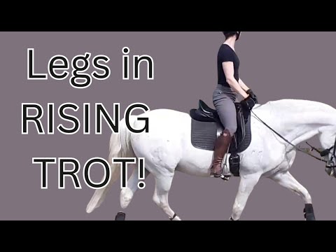 Видео: Как сохранить неподвижность ног при строевой рыси? Почему они слишком сильно двигаются и как это ...