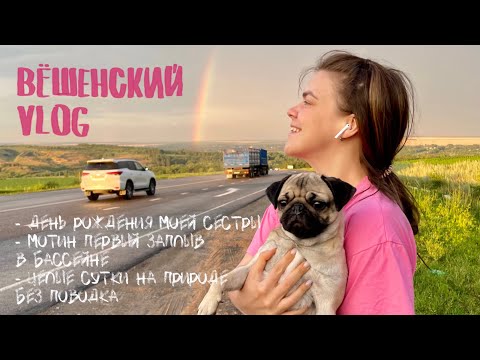 Видео: МОПС МОТЯ☀️ВЁШЕНСКИЙ VLOG