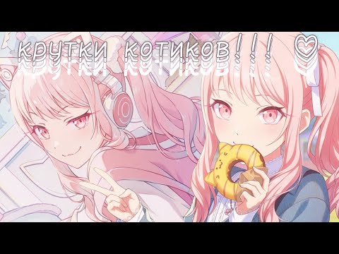 Видео: Крутки котиков!!!♡