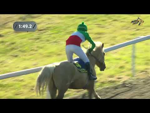 Видео: 2-я Скачка. Приз «Аргамак». Казанский ипподром. 18.06.2022