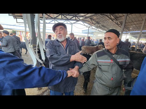 Видео: КУРГОТЕПА ШВЕТЛАР МАКОНИ МОЛ БОЗОРИДА ОДА КУП БУГУН ХАМА МОЛ ОЛЙАПТИ ПУЛИГА