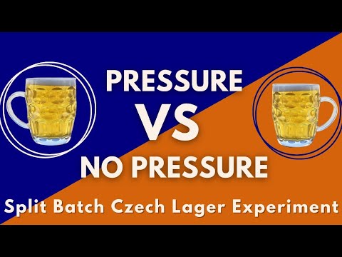Видео: Действительно ли пиво, ферментированное под давлением, так же хорошо, как и обычный лагер? Пригла...
