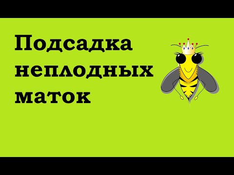 Видео: Подсадить НЕплодную матку легко,  при одном условии...