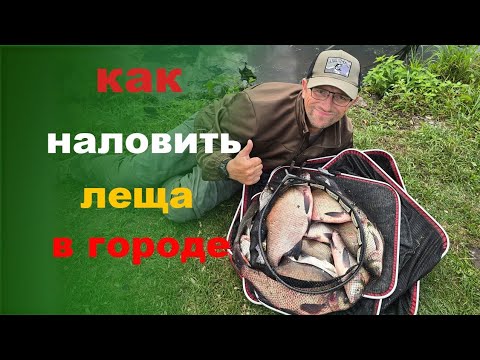 Видео: Как наловить много рыбы в черте города