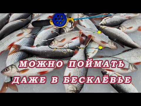 Видео: Как ловить плотву даже в Бесклёвье!  Самая Уловистая поплавочная донная оснастка!