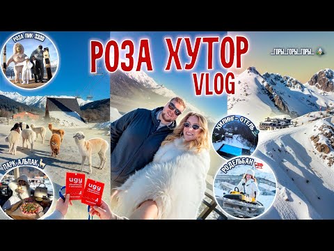 Видео: СОЧИ - Роза Хутор VLOG🦙❄️ Горы, Роза Пик 2320 / Альпака Парк, Родельбан, Хилинг Отель
