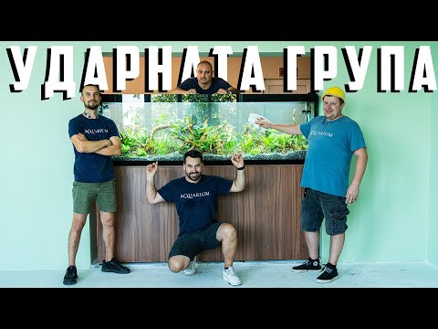 Видео: ПРАВИМ АКВАРИУМ В УЧИЛИЩЕ