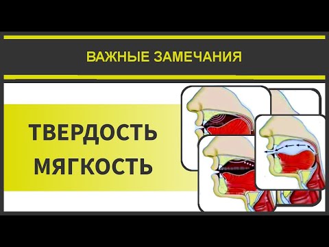Видео: Айман Сувейд. 1. Твердость и мягкость (русские субтитры)