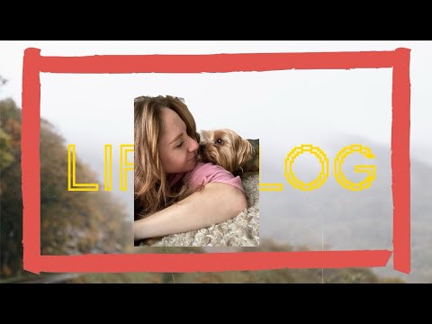 Видео: ‼️Рассказываю о новинках‼️Выходные с родными и любимыми‼️