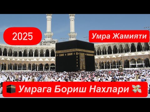 Видео: 🕋 УМРА ЗИЙОРАТИГА БОРИШ НАРХЛАРИ 💸 Октябрь Ноябрь Учун Батафсил Малумот