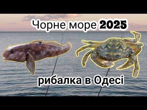 Видео: Зимова рибалка на бичків,крабів,наліма.Рибалка 2025 Чорне море.